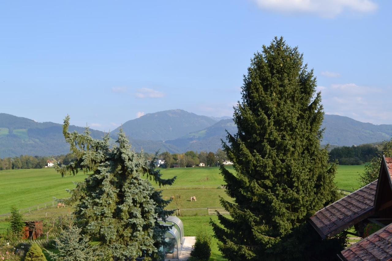 Ferienwohnung Schmiedhansl Moos Salzburg Buitenkant foto